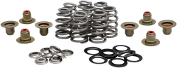 Kibblewhite  Beehive Racing Valve Spring Kit Titanium Retainers