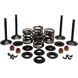 Kibblewhite  Complete Black Diamond Engine Valve Kit