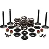 Kibblewhite  Complete Black Diamond Engine Valve Kit