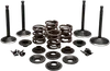 Kibblewhite  Complete Black Diamond Engine Valve Kit