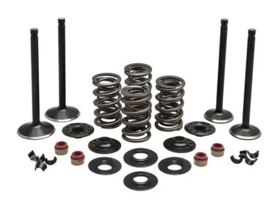 Kibblewhite Complete Black Diamond Engine Valve Kit
