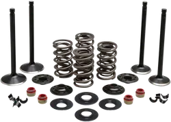 Kibblewhite  Complete Black Diamond Engine Valve Kit