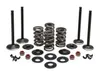 Kibblewhite  Complete Black Diamond Engine Valve Kit