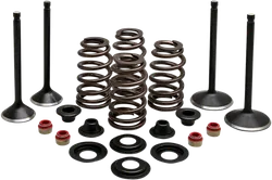 Kibblewhite  Complete Black Diamond Engine Valve Kit