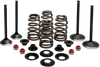 Kibblewhite  Complete Black Diamond Engine Valve Kit