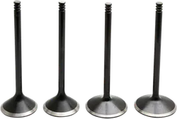 Kibblewhite  Black Diamond Engine Valve Kit