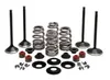 Kibblewhite  Complete Black Diamond Engine Valve Kit