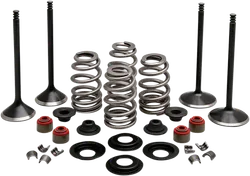Kibblewhite  Complete Black Diamond Engine Valve Kit