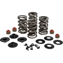 KibbleWhite Racing Exhaust Intake Valve Spring Kit