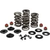 KibbleWhite Racing Exhaust Intake Valve Spring Kit