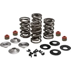 Kibblewhite Racing Exhaust Intake Valve Spring Kit .65in Lift