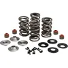 Kibblewhite Racing Exhaust Intake Valve Spring Kit .65in Lift