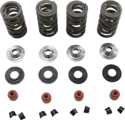 Kibblewhite Racing Titanium Valve Spring Kit .675in Lift