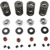 Kibblewhite Racing Titanium Valve Spring Kit .675in Lift