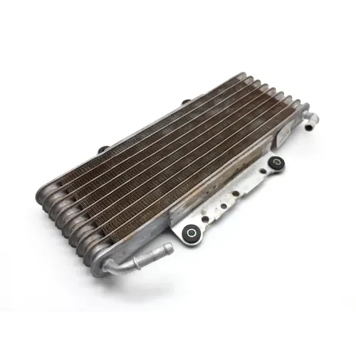 Engine Oil Cooler 2016 Yamaha Wolverine R-Spec YXE 700 4x4 FI EPS 2199A 3