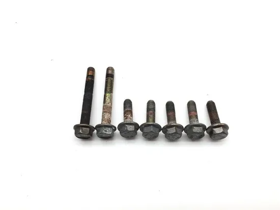 Engine Water Pump Cover 2010 Polaris RZR S 800 EFI 2195