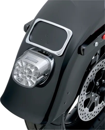 DS Smoke Lens Web LED Dual Tail Light