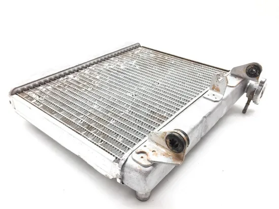TRX 450ER Engine Radiator Cooling 2007 Honda x