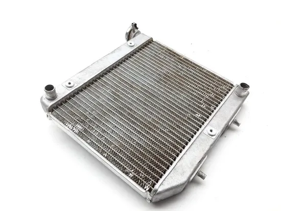 TRX 450ER Engine Radiator Cooling 2007 Honda x