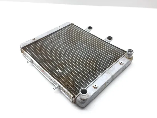 Engine Radiator Cooling 2009 Polaris RZR 800 EFI 2204 x