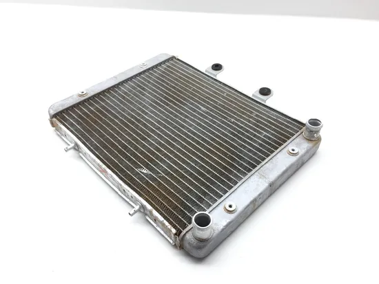 Engine Radiator Cooling 2009 Polaris RZR 800 EFI 2204 x