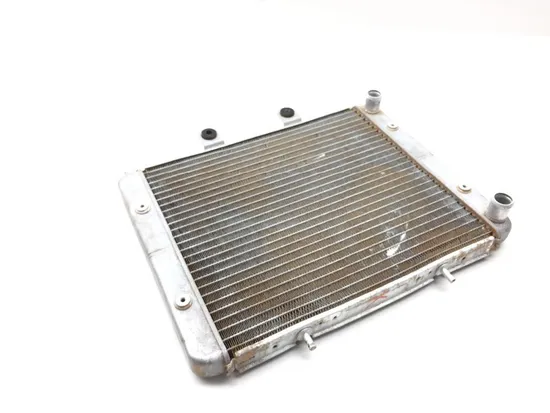 Engine Radiator Cooling 2009 Polaris RZR 800 EFI 2204 x