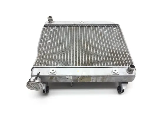 TRX 450R Engine Radiator Cooling 2005 Honda x