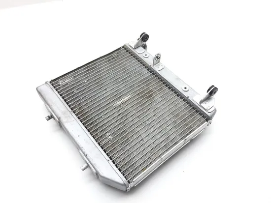 TRX 450R Engine Radiator Cooling 2005 Honda x