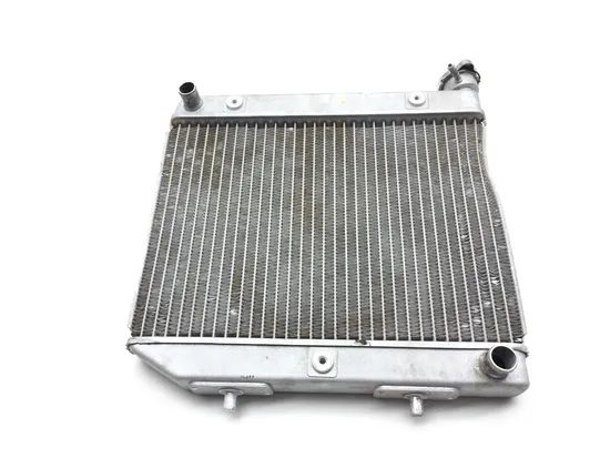 TRX 450R Engine Radiator Cooling 2005 Honda x