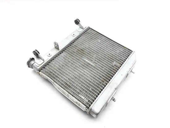 TRX 450R Engine Radiator Cooling 2005 Honda x
