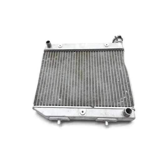 TRX 450R Engine Radiator Cooling 2005 Honda x 9