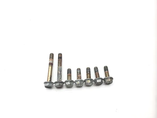 Engine Water Pump Cover 2009 Polaris Sportsman 800 HO EFI 2237 x