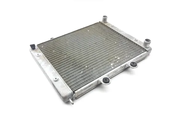 Engine Radiator Cooling 2009 Polaris Sportsman 800 HO EFI 2237