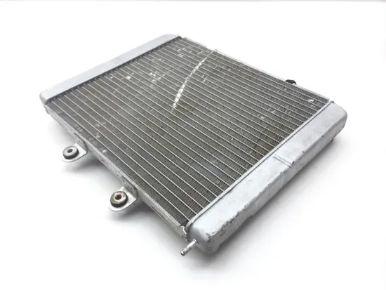 Engine Radiator Cooling 2009 Polaris Sportsman 800 HO EFI 2237