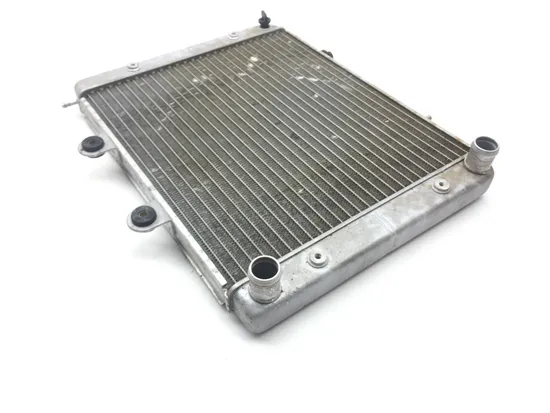 Engine Radiator Cooling 2009 Polaris Sportsman 800 HO EFI 2237
