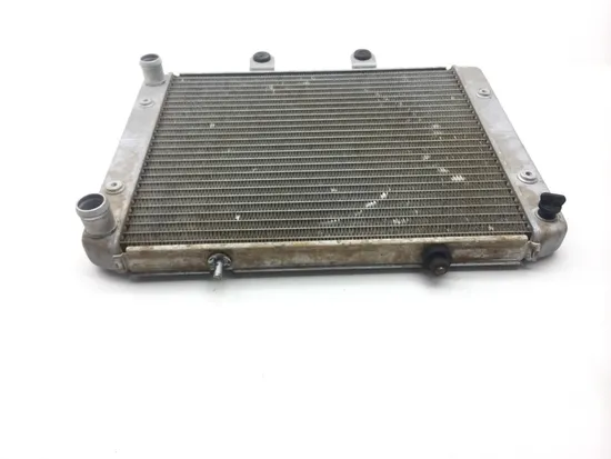 Engine Radiator Cooling 2009 Polaris Sportsman 800 HO EFI 2237