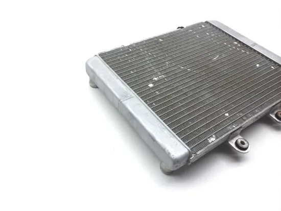 Engine Radiator Cooling 2009 Polaris Sportsman 800 HO EFI 2237