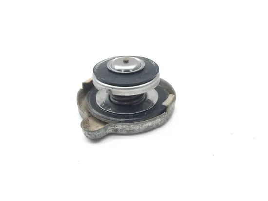Engine Radiator Cap 2004 Polaris Sportsman 700 Twin 2231