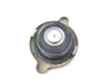 Engine Radiator Cap 2004 Polaris Sportsman 700 Twin 2231