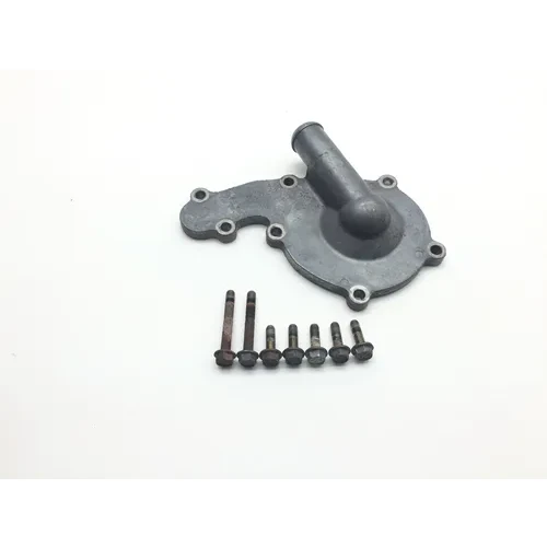 Engine Water Pump Cover 2010 Polaris RZR 800 EFI 2247