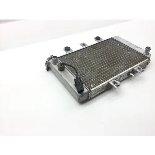 Engine Radiator Cooling 2004 Polaris Predator 500 Troy Lee Edition 2249 15