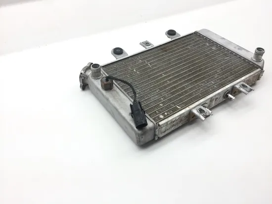 Engine Radiator Cooling 2004 Polaris Predator 500 Troy Lee Edition 2249