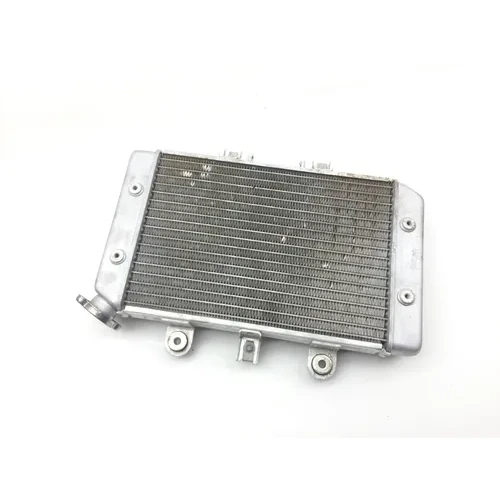Engine Radiator Cooling 2004 Polaris Predator 500 Troy Lee Edition 2249 9
