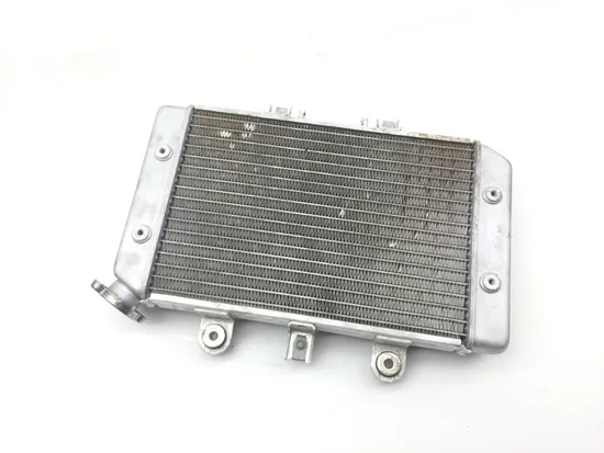 Engine Radiator Cooling 2004 Polaris Predator 500 Troy Lee Edition 2249