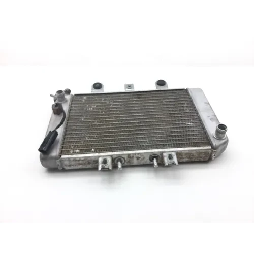 Engine Radiator Cooling 2004 Polaris Predator 500 Troy Lee Edition 2249 13