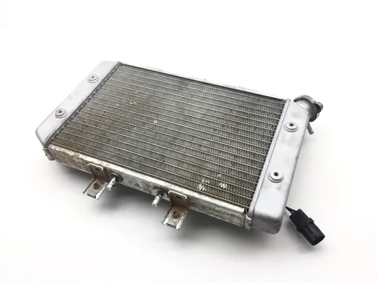 Engine Radiator Cooling 2004 Polaris Predator 500 Troy Lee Edition 2249
