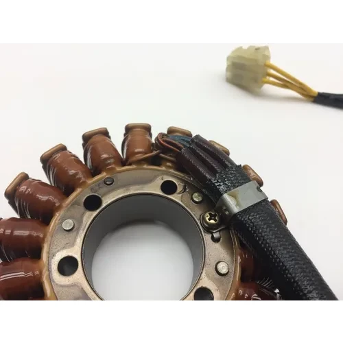 Engine Stator Generator 2006 Ducati Multistrada 620 Dark 2186A 4