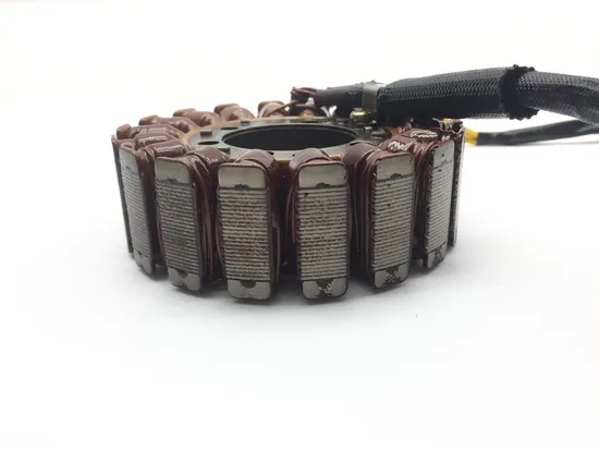 Engine Stator Generator 2006 Ducati Multistrada 620 Dark 2186A