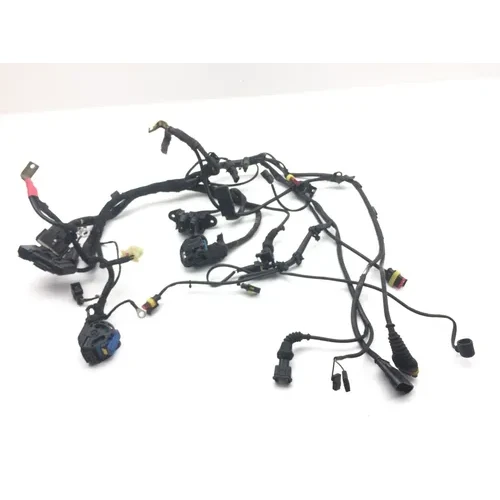 Main Engine Wiring Harness 2006 Ducati Multistrada 620 Dark 2186A