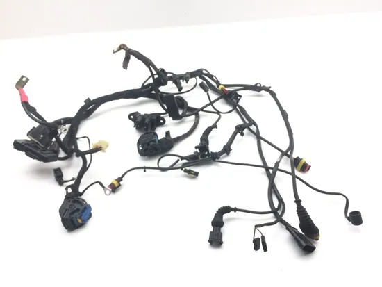 Main Engine Wiring Harness 2006 Ducati Multistrada 620 Dark 2186A